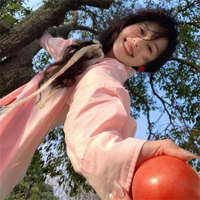破坏性计划